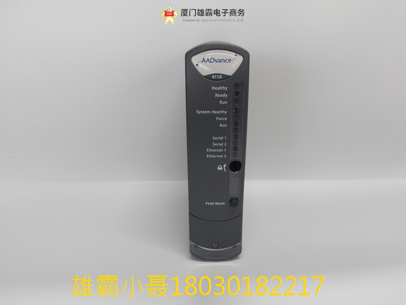 ICS TRIPLEX T9110