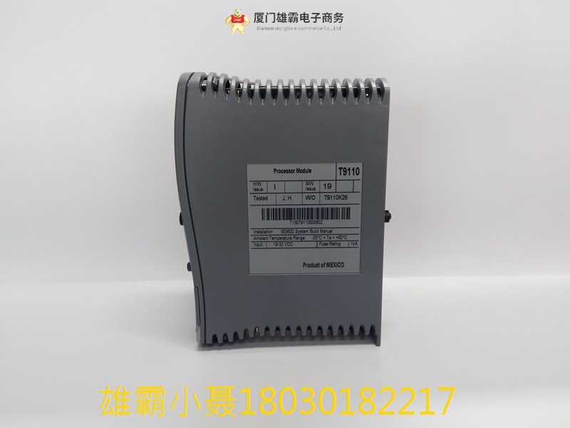 ICS TRIPLEX T9110