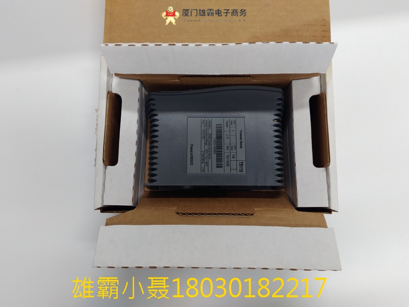 ICS TRIPLEX T9110