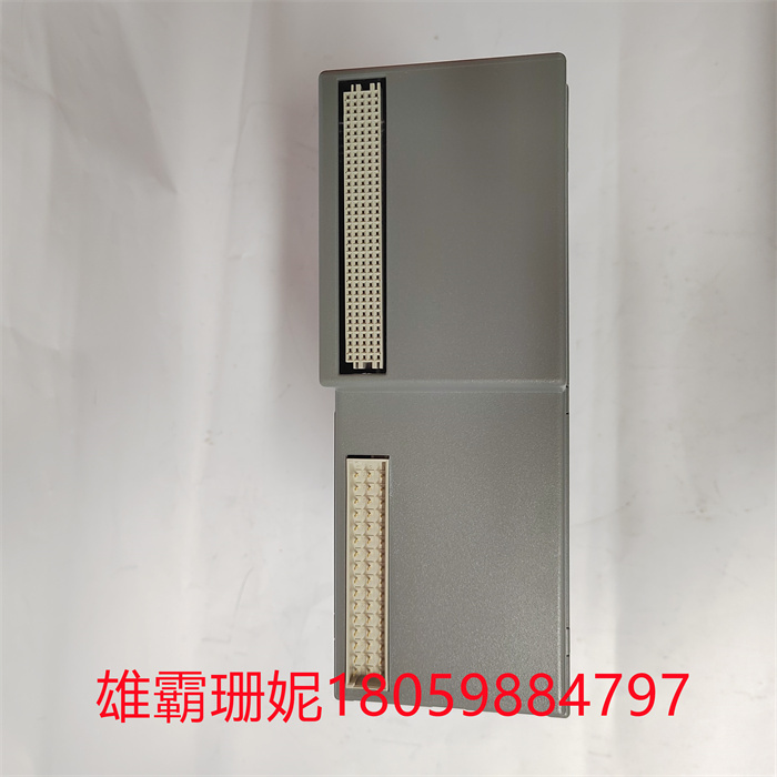 T8111C(6).jpg