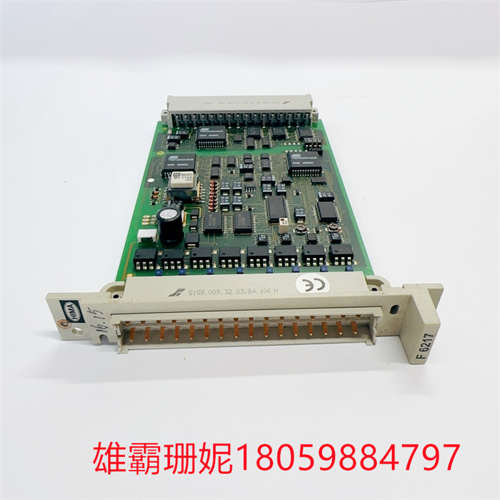 HIMA F6217 984621702