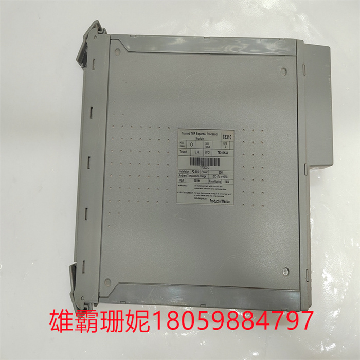 ICS Triplex  T8310 