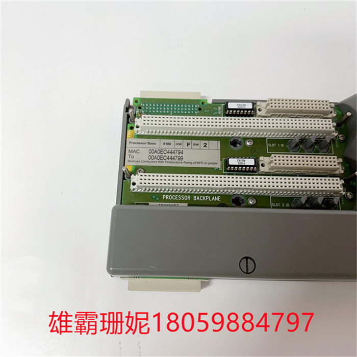 ICS TRIPLEX 9100 T9100-F2 