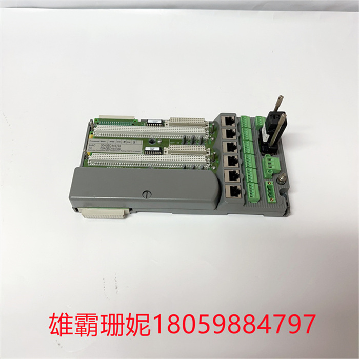 ICS TRIPLEX 9100 T9100-F2 