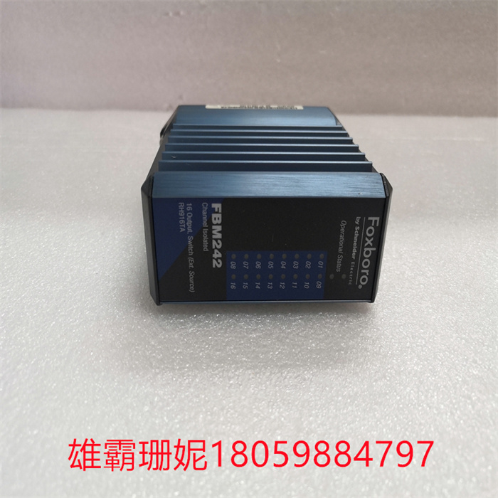 FOXBORO FBM242 RH916TA (9).jpg