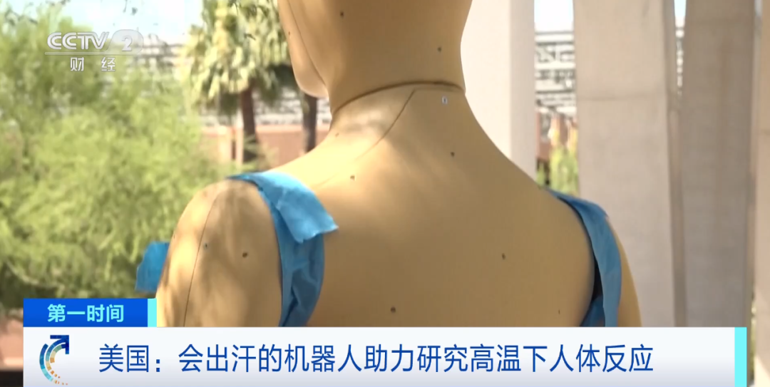 马波斯81696ah8ea 美国推出会呼吸、会出汗的机器人