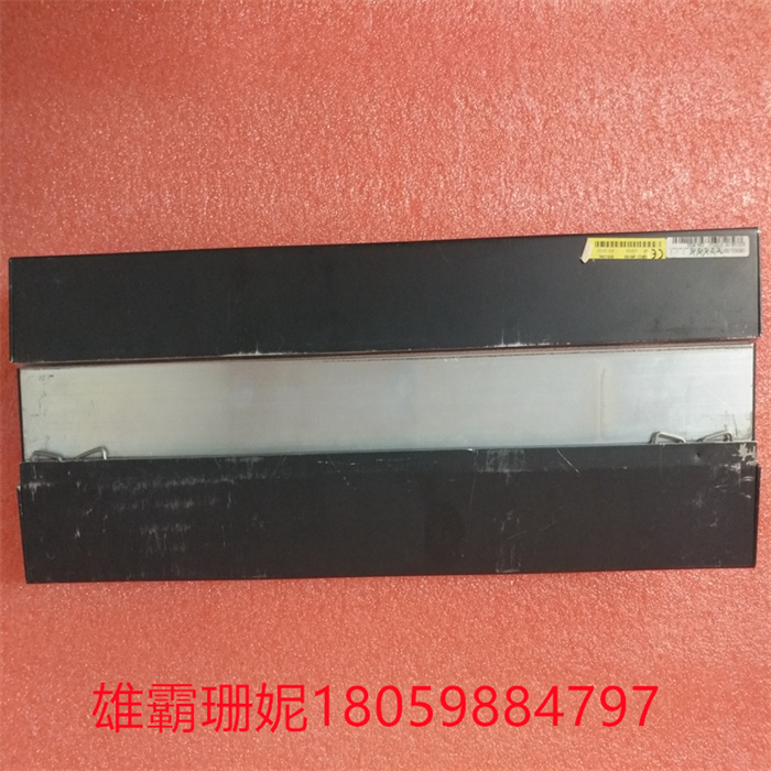 BACHMANN SFS236C (2).jpg