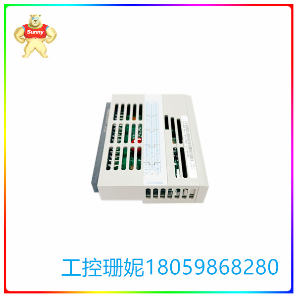 1C31169G02