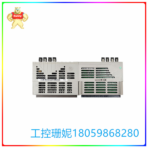 1C31181G01
