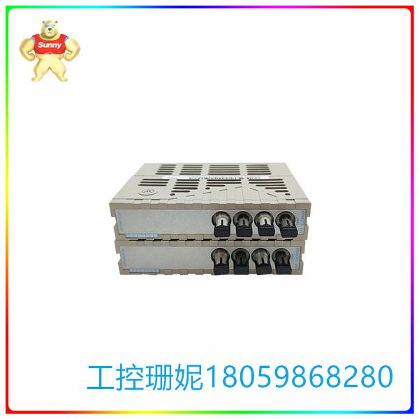 1C31181G01
