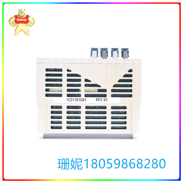 1C31181G01
