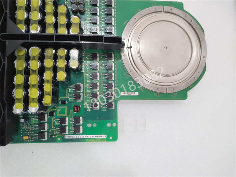 5SHX2645L0004.叶子.20240318 (5).jpg