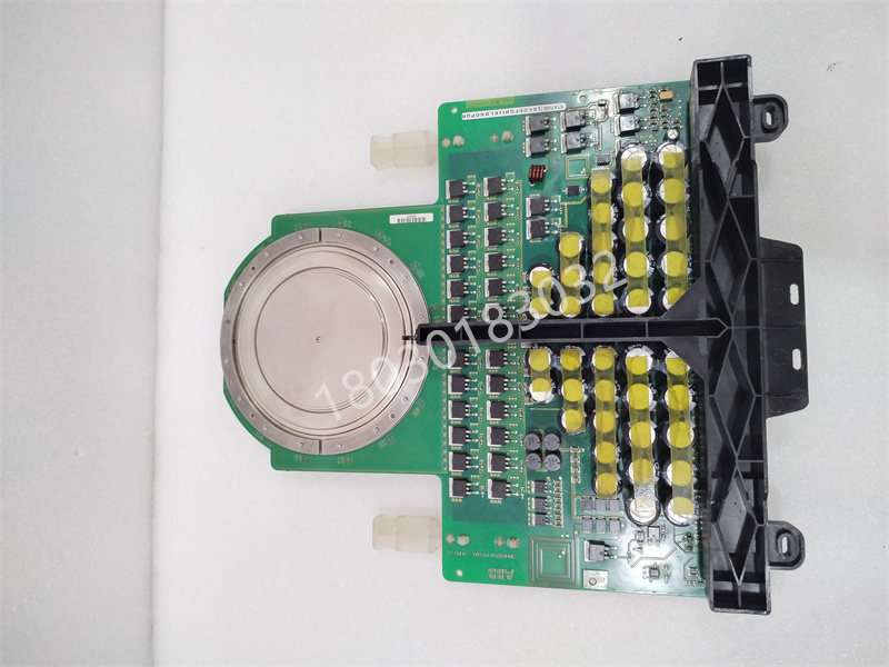 5SHX2645L0004.叶子.20240318 (1).jpg