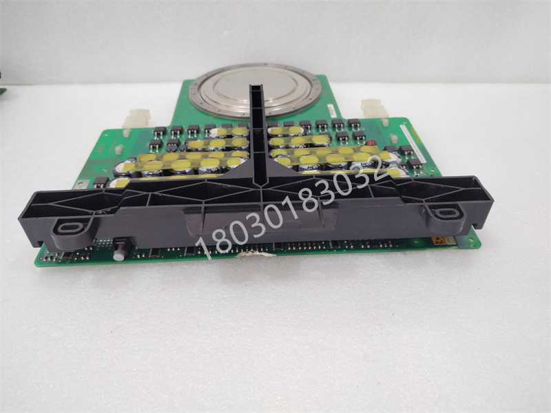 5SHX2645L0004.叶子.20240318 (9).jpg