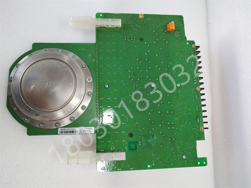 5SHX2645L0002.蒋娜 (3).jpg