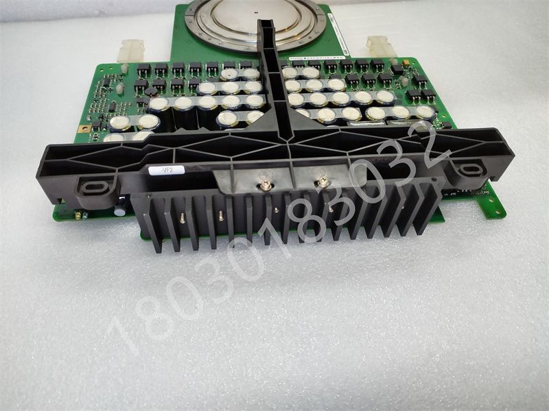 5SHX2645L0002.蒋娜 (5).jpg