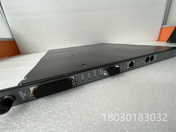 TRICONEX 3008N (3).jpg