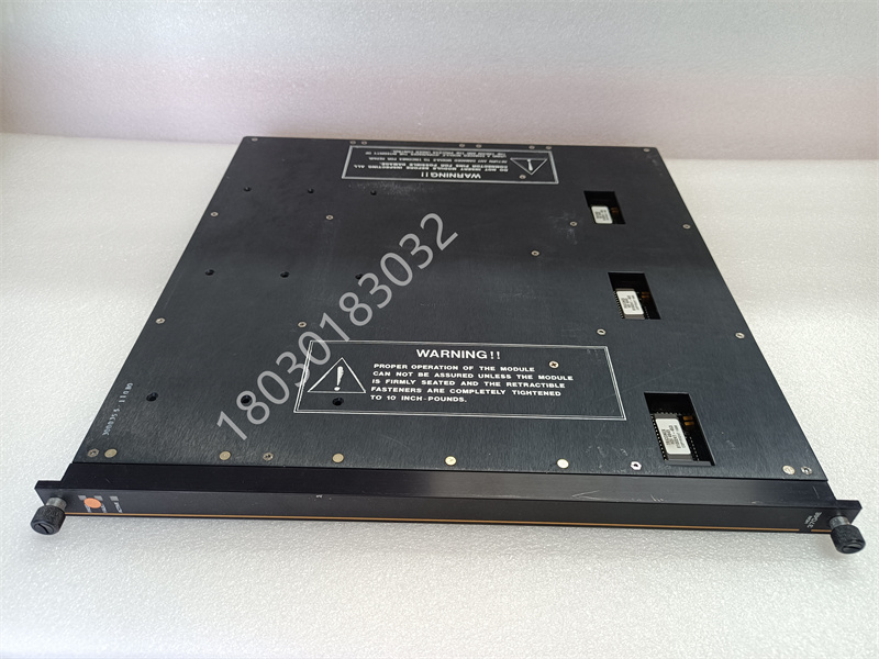 TRICONEX 3704E (2)_副本.jpg